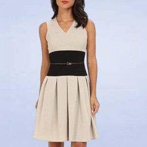 Calvin Klein Cream and Black Fit-and-Flare Dress